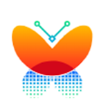 Vectorizer